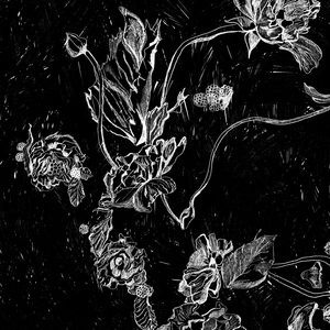 Shoes from the prior refunded bundle